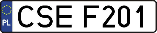 CSEF201