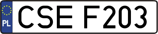 CSEF203