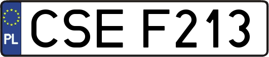 CSEF213