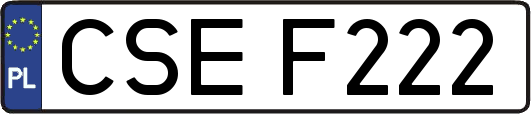 CSEF222