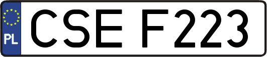 CSEF223