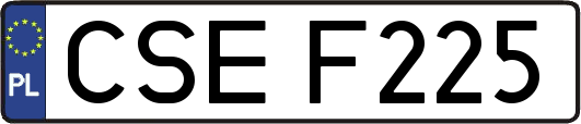 CSEF225