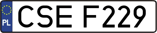 CSEF229