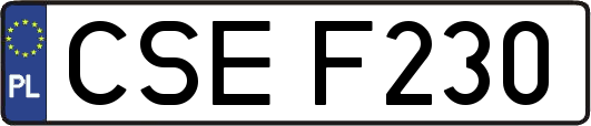 CSEF230