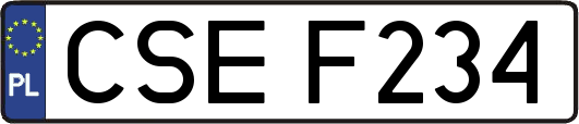 CSEF234