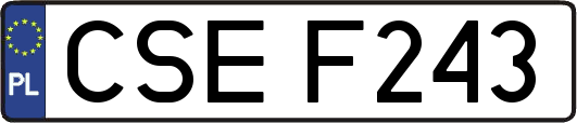 CSEF243