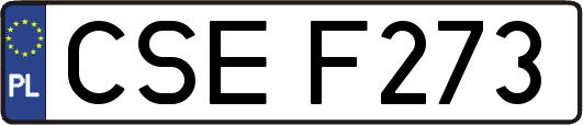 CSEF273