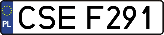 CSEF291
