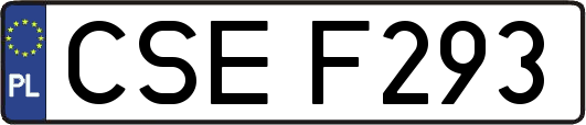CSEF293