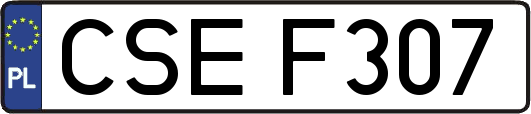 CSEF307