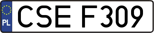 CSEF309