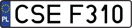 CSEF310