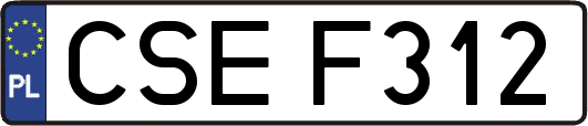 CSEF312