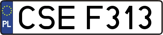 CSEF313