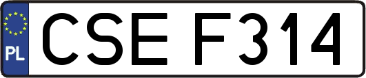 CSEF314