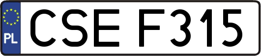 CSEF315