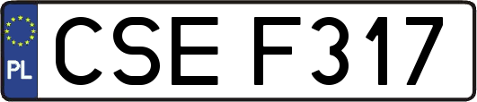 CSEF317