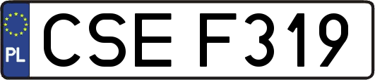 CSEF319