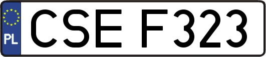 CSEF323