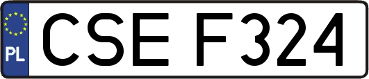 CSEF324