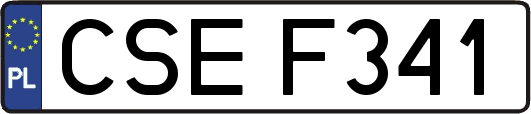 CSEF341