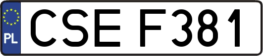 CSEF381
