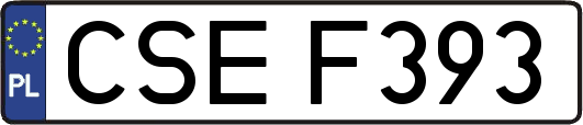 CSEF393