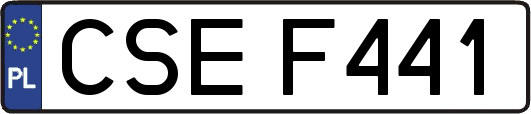 CSEF441