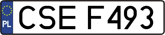 CSEF493