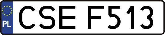 CSEF513