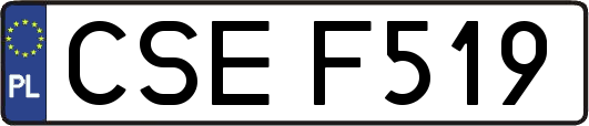 CSEF519