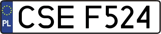 CSEF524