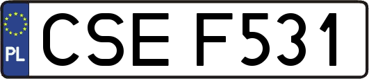 CSEF531