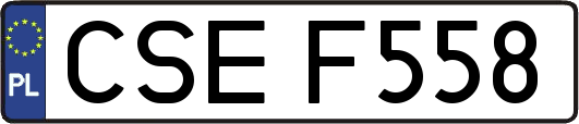 CSEF558