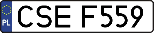 CSEF559