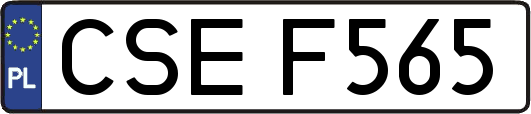 CSEF565