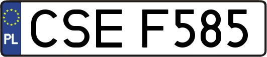 CSEF585