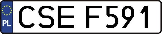 CSEF591