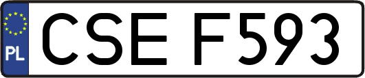 CSEF593