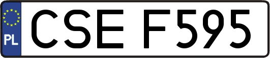CSEF595