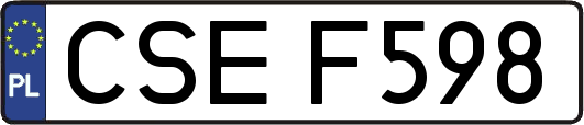 CSEF598