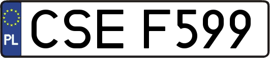 CSEF599