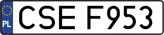 CSEF953