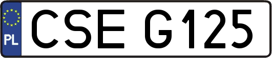 CSEG125