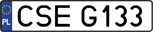 CSEG133