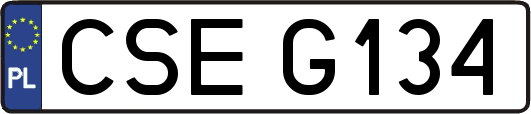 CSEG134
