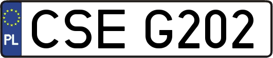 CSEG202