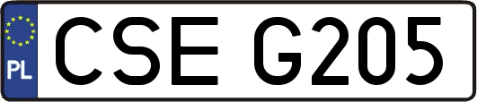 CSEG205