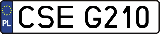 CSEG210