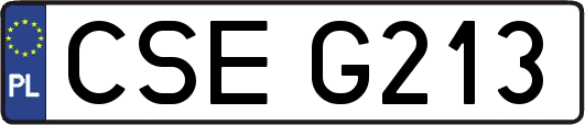 CSEG213